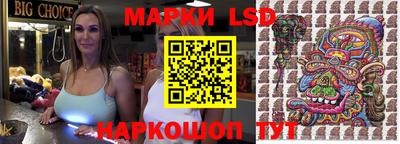 spice Бузулук