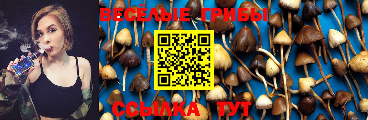 Галлюциногенные грибы Psilocybe Валуйки